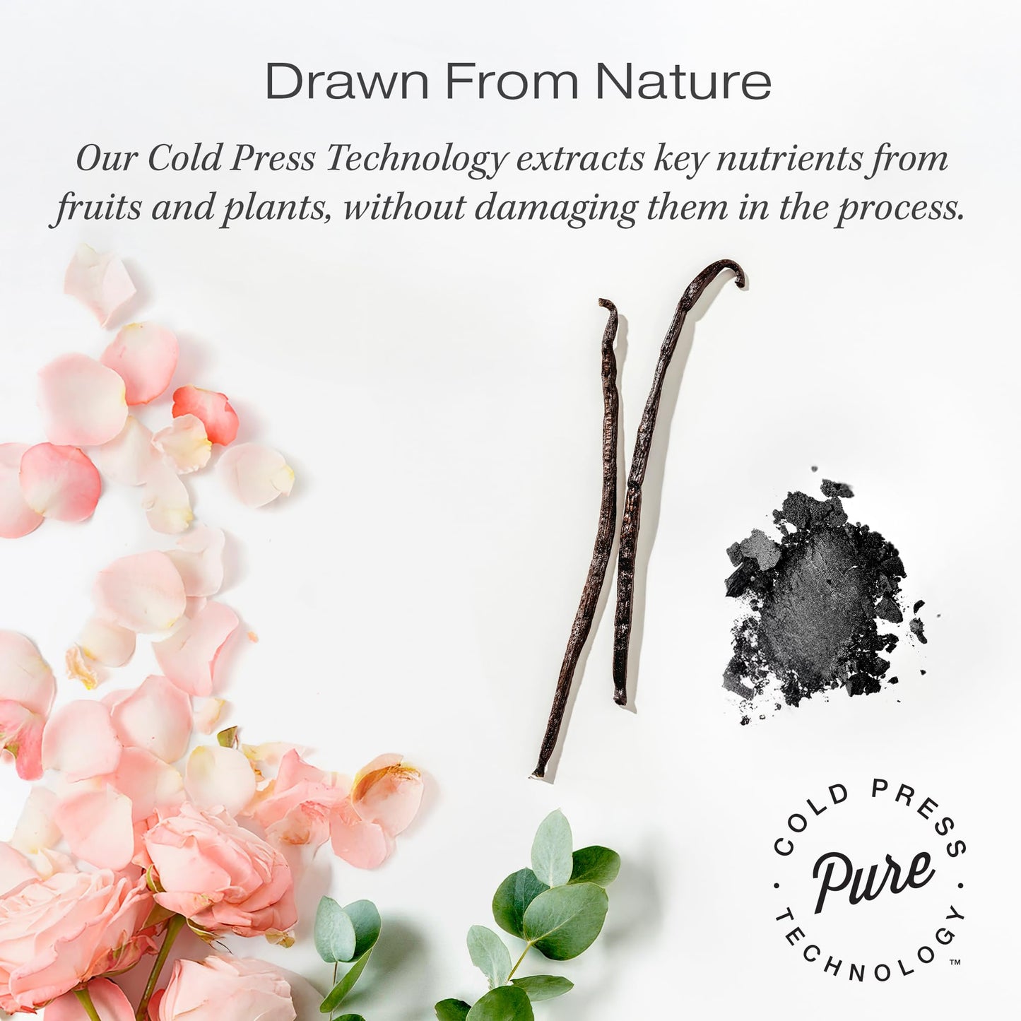 RAW SUGAR Aluminum Free Deodorant Stick, Simply Deo Variety Bundle (Pack of 3) Whole Body Deodorant for Women & Men, Clean Formulated without Baking Soda, Talc & Parabens, Variety Pack