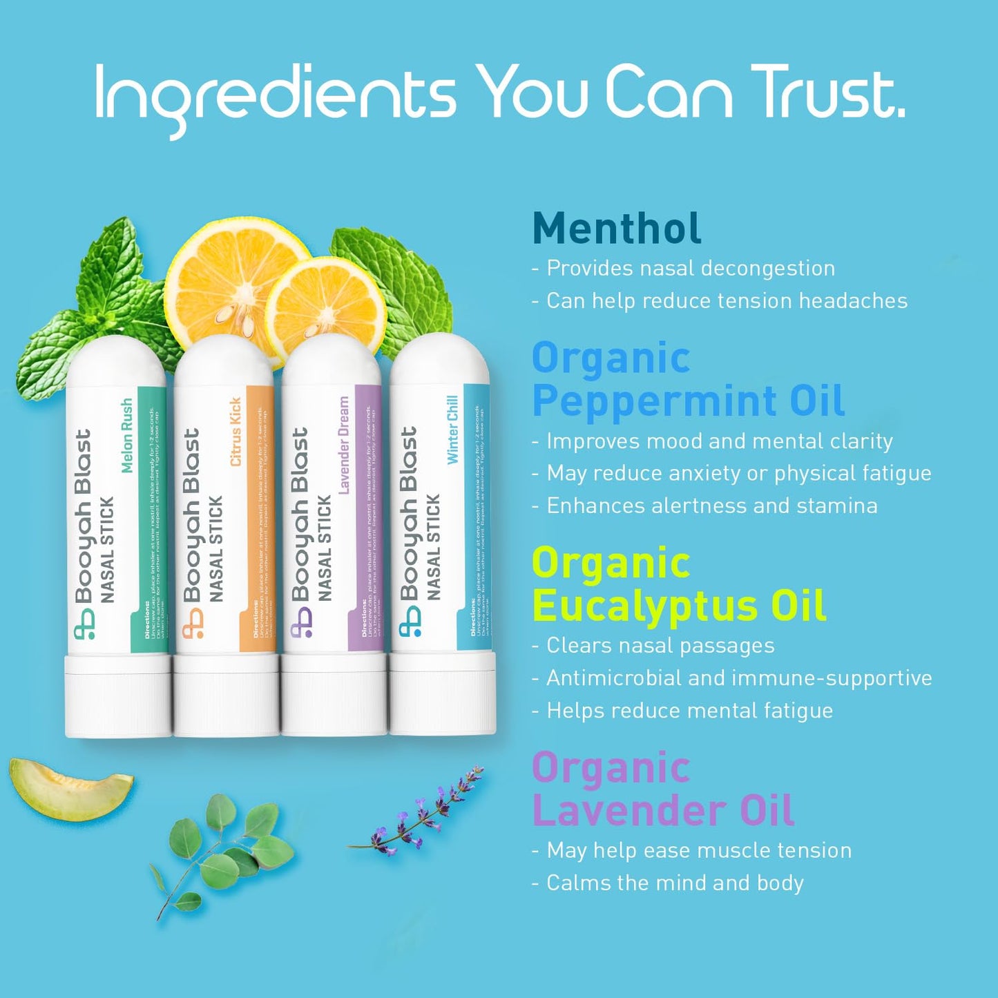 BOOYAH BLAST Nasal Sticks, Natural Sinus Inhaler Stick, Menthol Inhaler, Nasal Inhaler Stick 4PK (Winter Chill, Citrus Kick, Lavender Dream, Melon Rush)