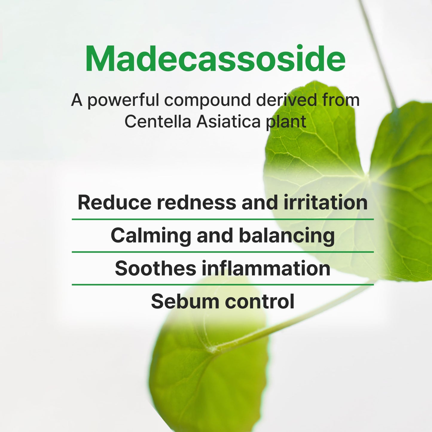 Face Republic Calming Tea Tree Madecassoside Serum 45ml 1.52 fl oz | Lightweight | Soothing | Madecassoside, Tea Tree, Centella Asiatica, Niacinamide | For irritated skin | Vegan Korean Skin Care