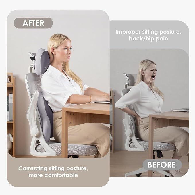 FLORICH Lumbar Support with Car headrest Back Pillow for Chairs Headrest Pillow for Car Ergonomic Ultrathick Memory Foam Back Pillow for Office Chair (Grey)