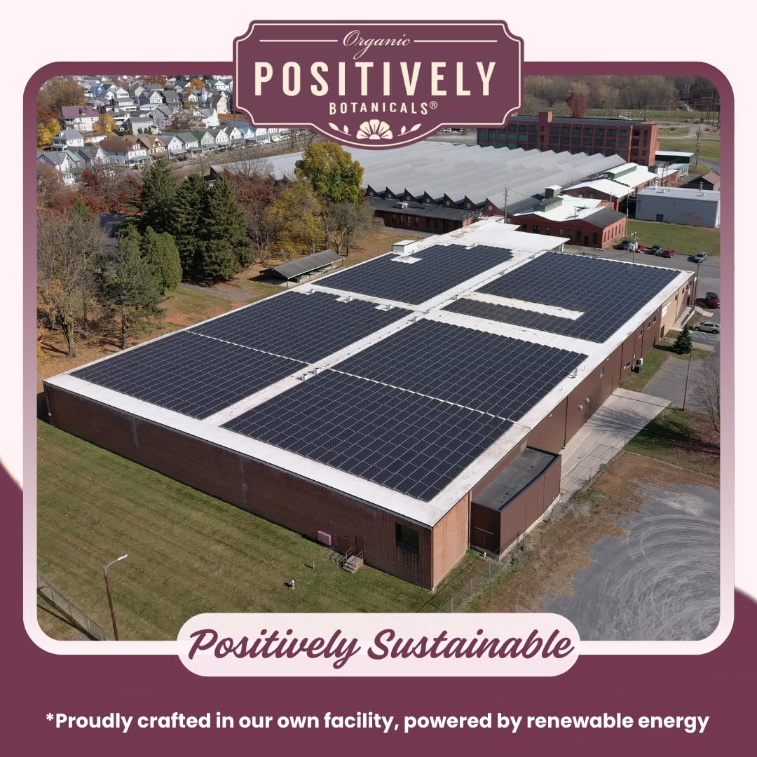 Organic Positively Botanicals Company, Catnip Herbal Tea Bags, 20 Count