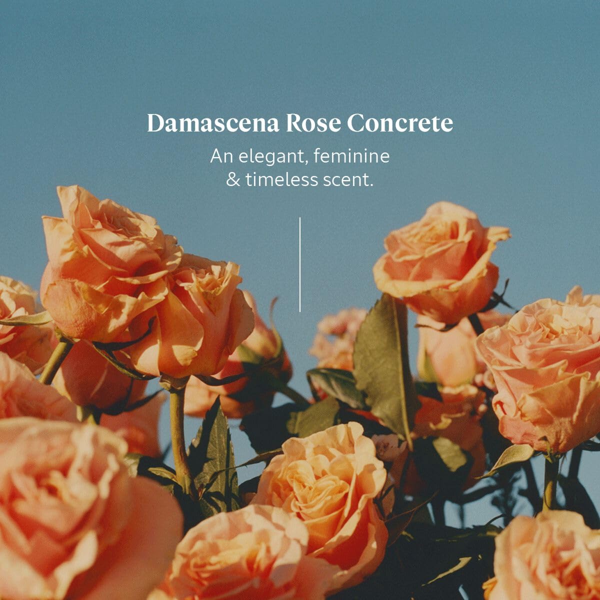 L'OCCITANE Shea Rose Liquid Soap 10.10 oz