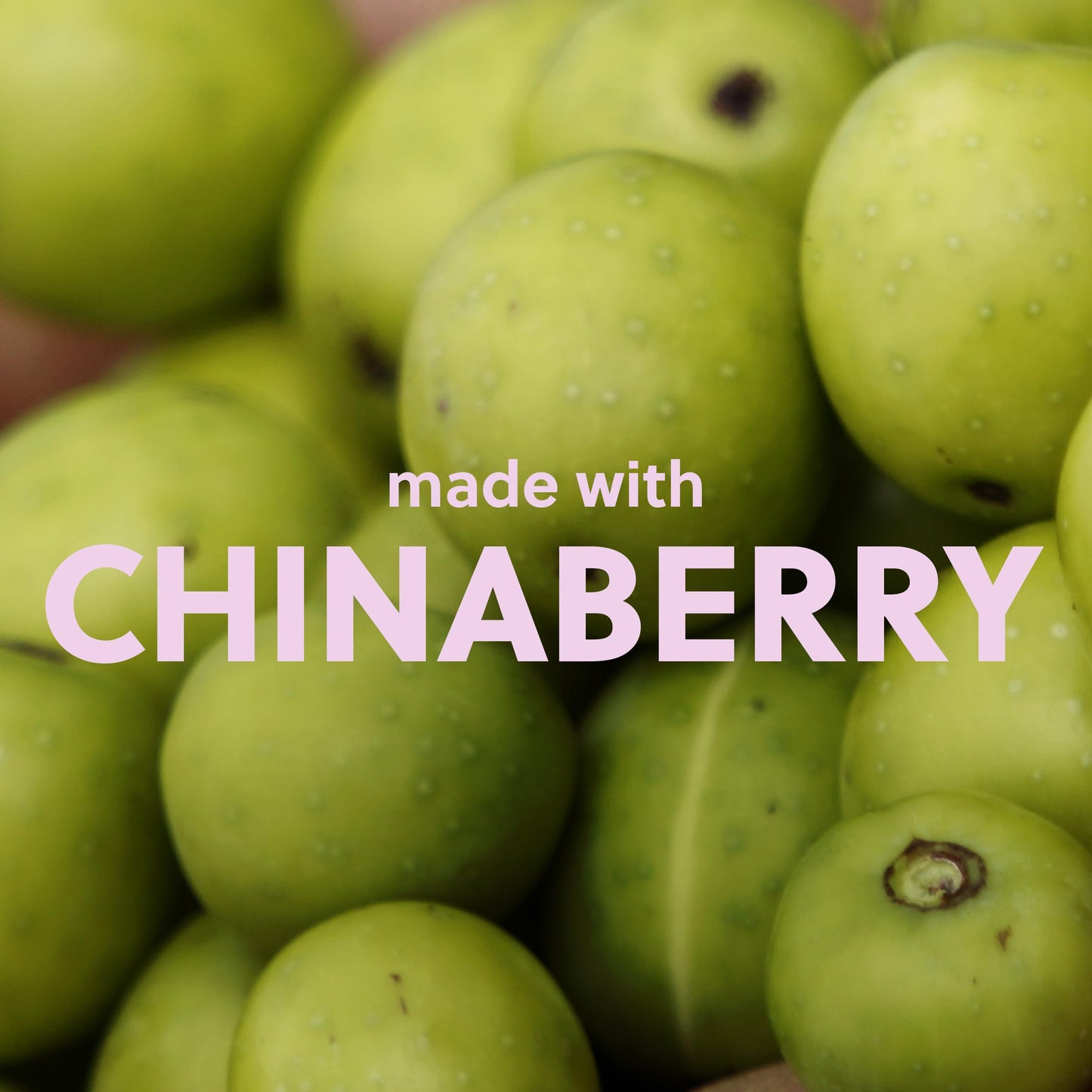 Tree Hut Sugarlips Original Lip Butter, Lock in Moisture & Nourish Skin for Full, Hydrated Lips, 0.52 Fl oz.