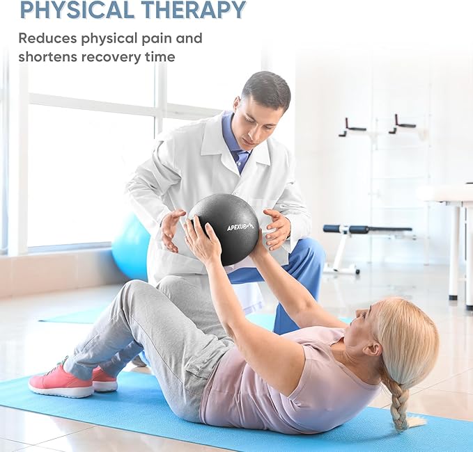 APEXUP Yoga Ball Exercise Ball Anti Slip Heavy Duty for Fitness, Balance & Core Workout