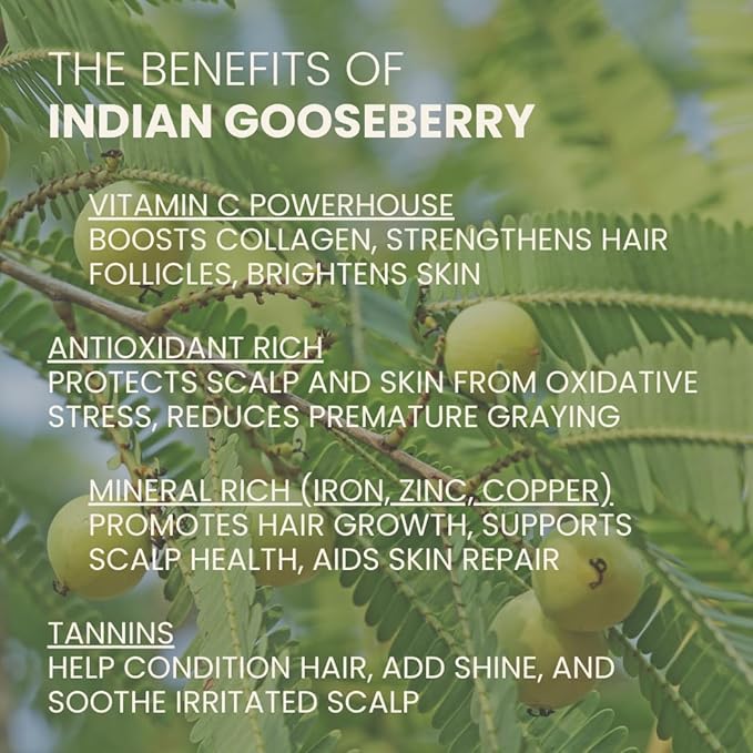 Ahimsa Natural Body Wash for Women | Hydrating & Moisturizing Body Wash Sensitive Skin | Antioxidant-Rich Bath & Shower Gels with Spearmint & Ginger | Gentle, Plant-Based, Organic Formula | 10oz