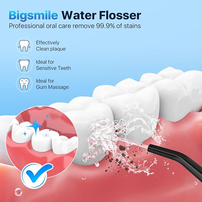 Bigsmile Water Flosser Cordless Dental Irrigator Kid Braces Oral Irrigador Travel Shower Portable Teeth Pick Wireless Floss IPX7 200ML Famous Dentist Recommend(Panda)