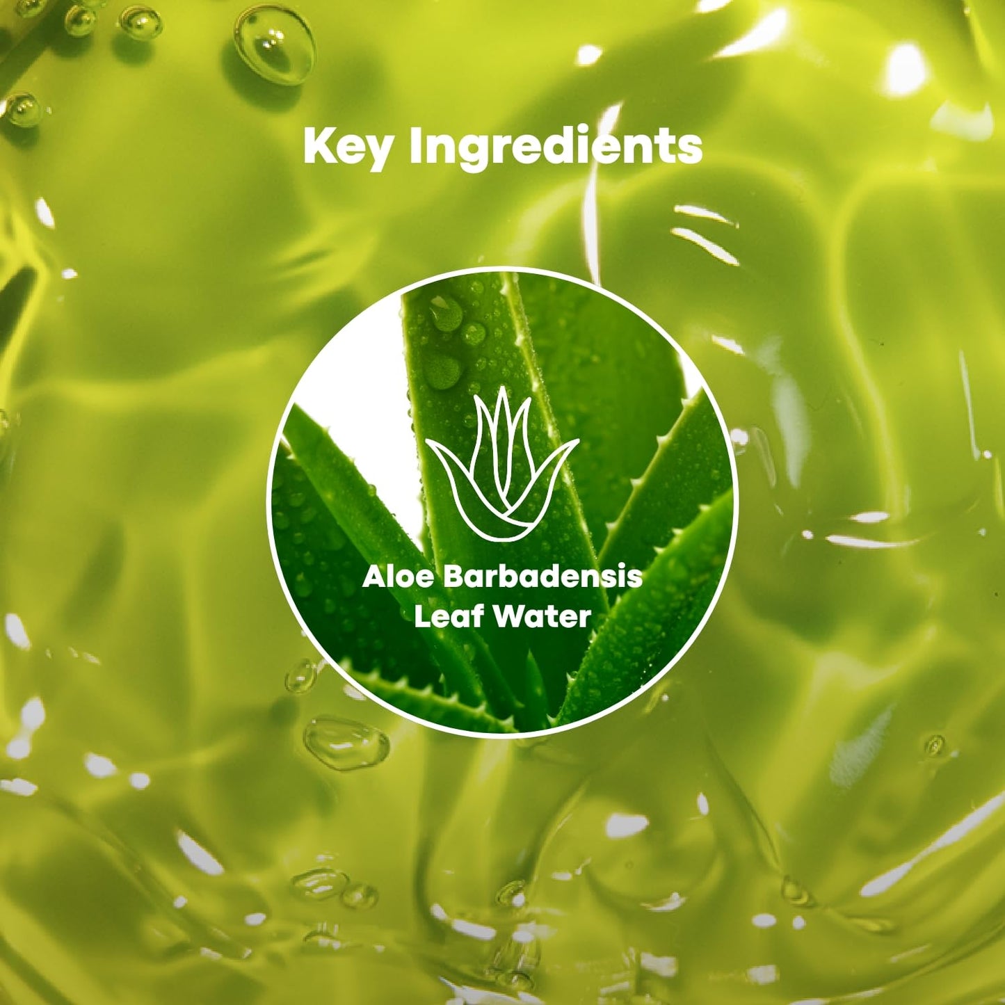 TONYMOLY Chok Chok Aloe Soothing Gel, 99% Aloe Vera Gel for Face & Body, Korean Skin Care Moisturizier