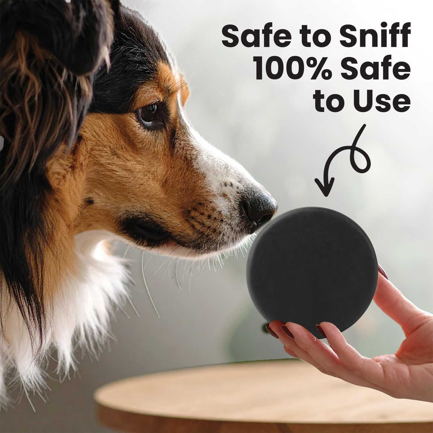 Project Sudz Activated Charcoal Organic Bar Shampoo for Dogs | Odor Eliminating Dog Shampoo Bar (1)