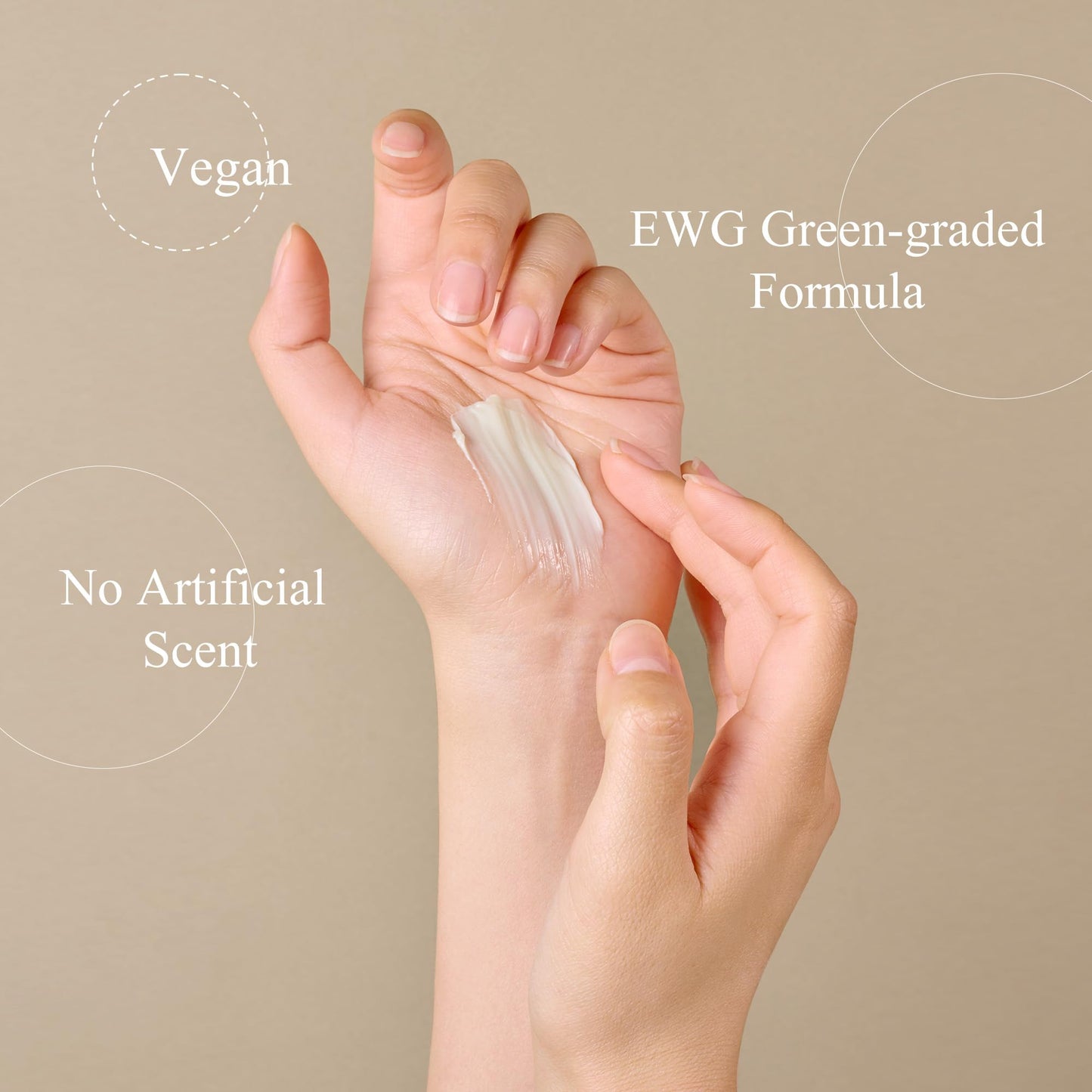 Cica Bakuchiol Erasing Cream | Hydrating Korean Skincare Cream (50ml/1.69 fl.oz.)