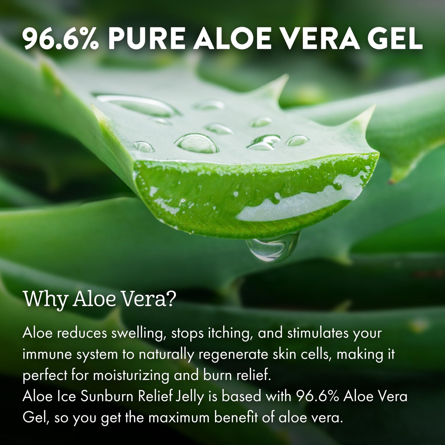 ALOE UP Aloe Ice Sunburn Relief Jelly - Face and Body Organic After Sun Gel - With 96.6% Pure Aloe Vera Gel - Reef Safe - Alcohol- and Fragrance-Free - 4 Oz