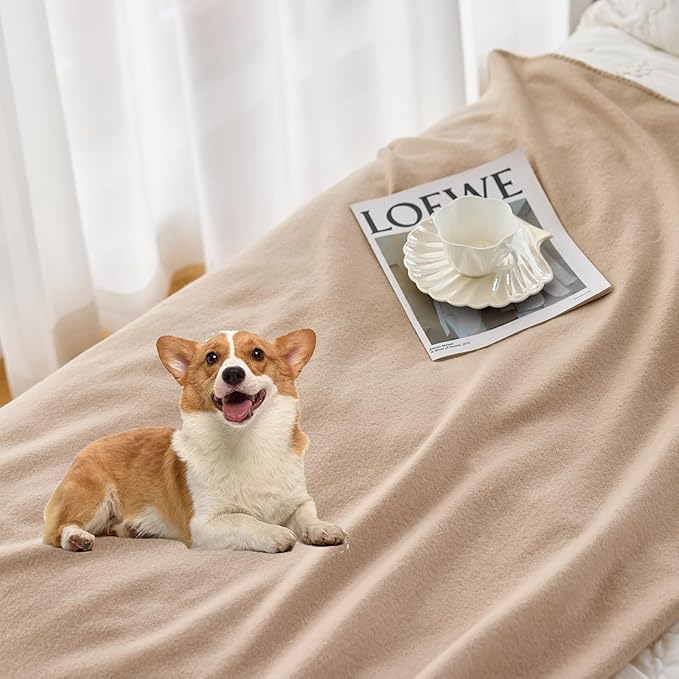 CAI TENG Fleece Throw Blankets for Couch Bulk Lightweight Warm Soft Cozy Dog Blanket 6 Pack Bulk Fleece Kids Blanket Solid for Bed Sofa Couch Office Gifts Outdoor Assorted 50 x 60 inch