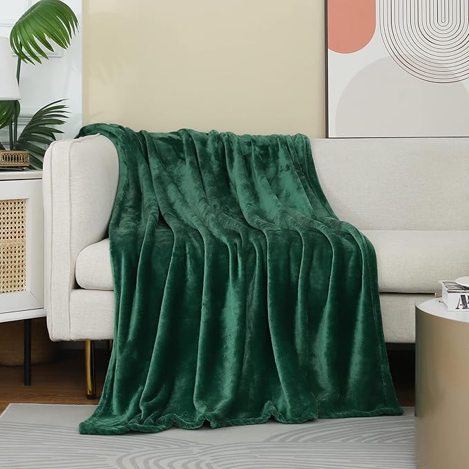 JIAHANNHA Flannel Fleece Blanket Queen Size Green 90 by 90 Inches Blankets for Couch Sofa Bed 280GSM,Super Soft Plush Cozy and Luxury Warm Bed Blanket for All Season