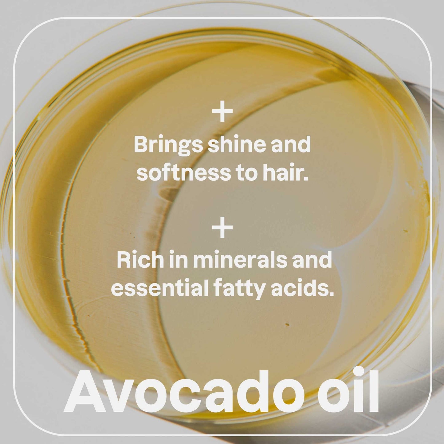 ATTITUDE Nourishing Conditioner Bar, Natural Origin, Repair and Protect, Avocado oil & Shea Butter, Vegan, Sandalwood, 4 Oz