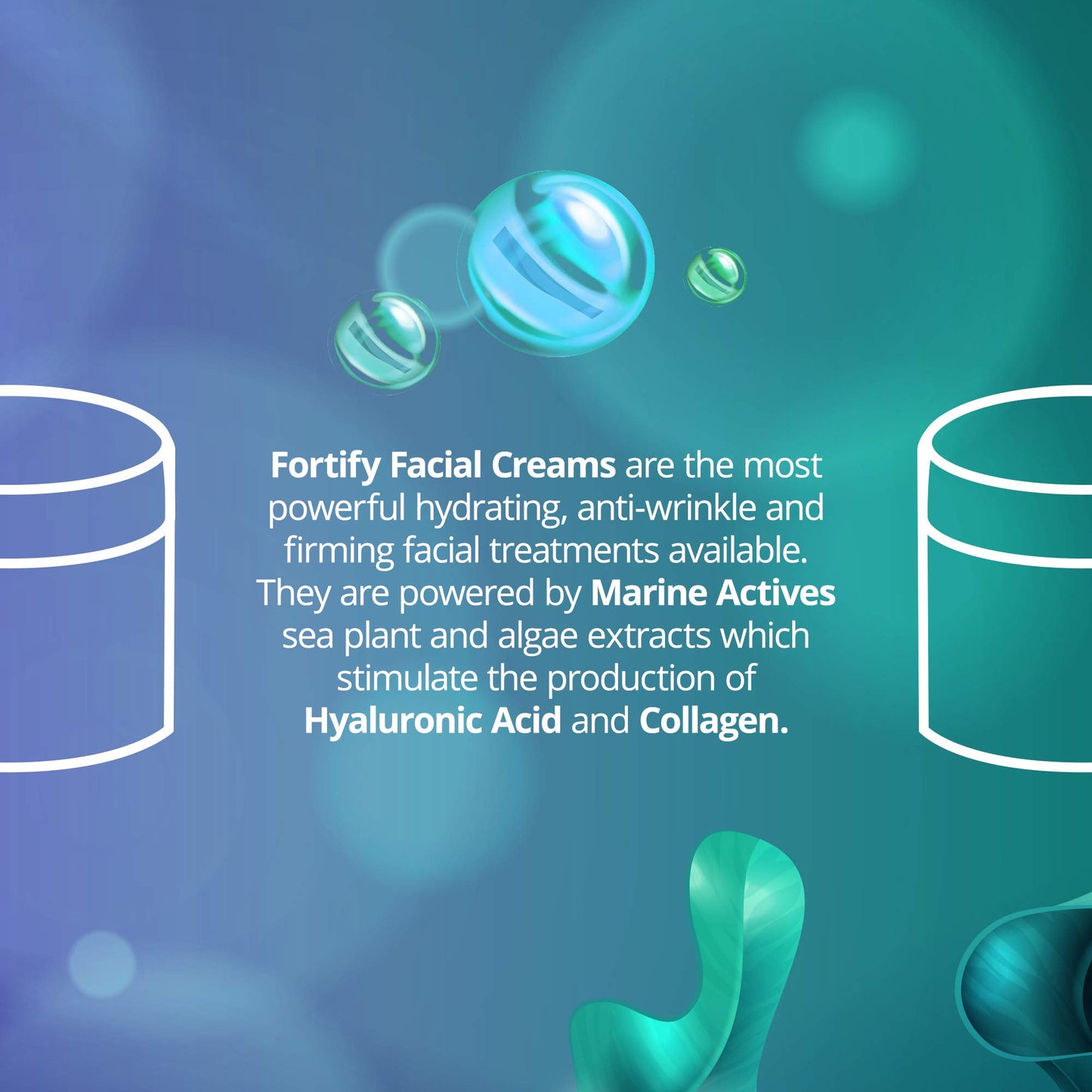 Sea Kind Natural Skin Care Anti-Wrinkle Cream and Face Moisturizer, Anti-Aging Night Cream with Marine Actives