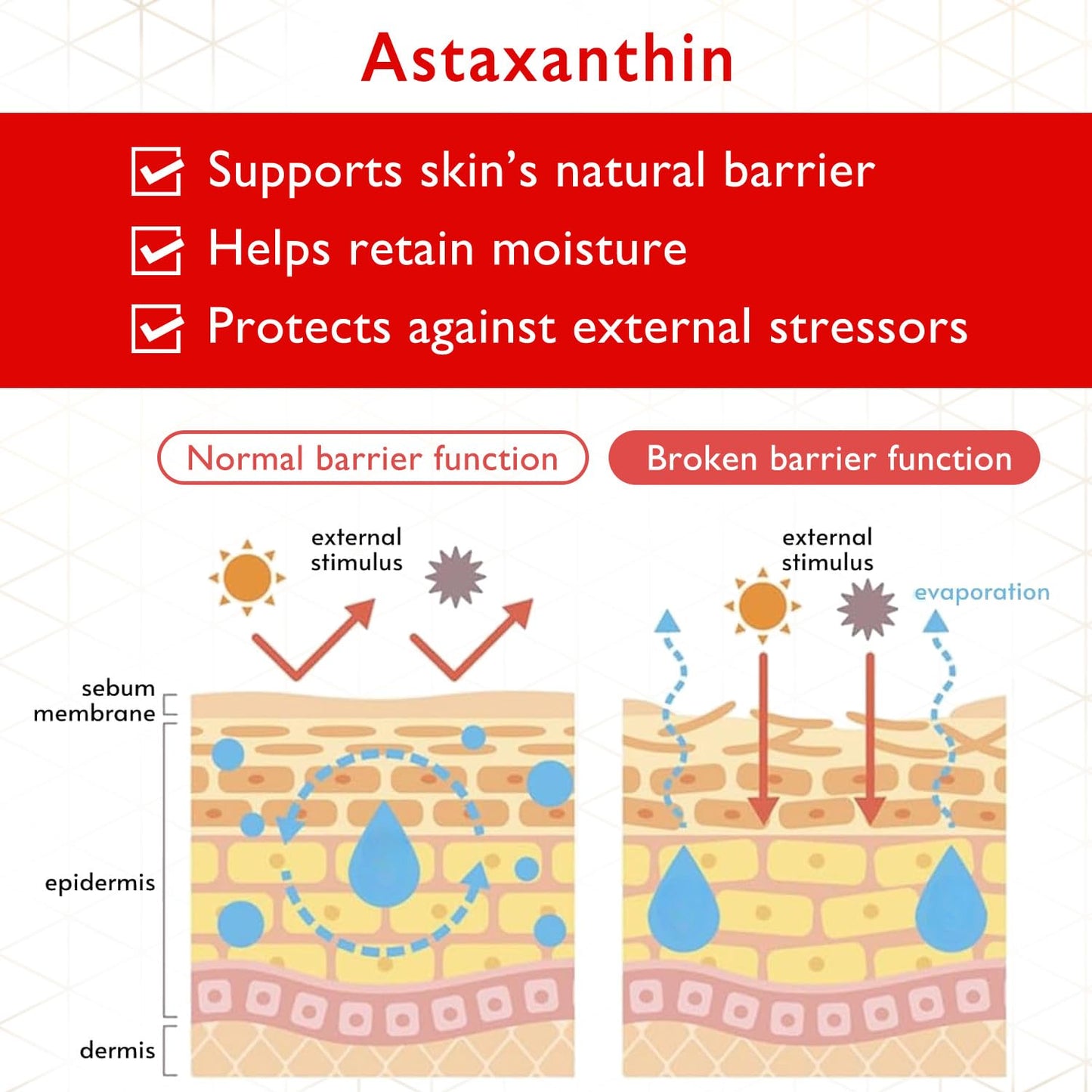 COCOCHI Cream Facial Masks for Women & Men, Mini Hyaluronic Acid Face Mask by Vitamin B12, Collagen Peptides, Overnight Face Mask & Anti Aging Face Masks Skincare for Sensitive Skin from Japan 5EA