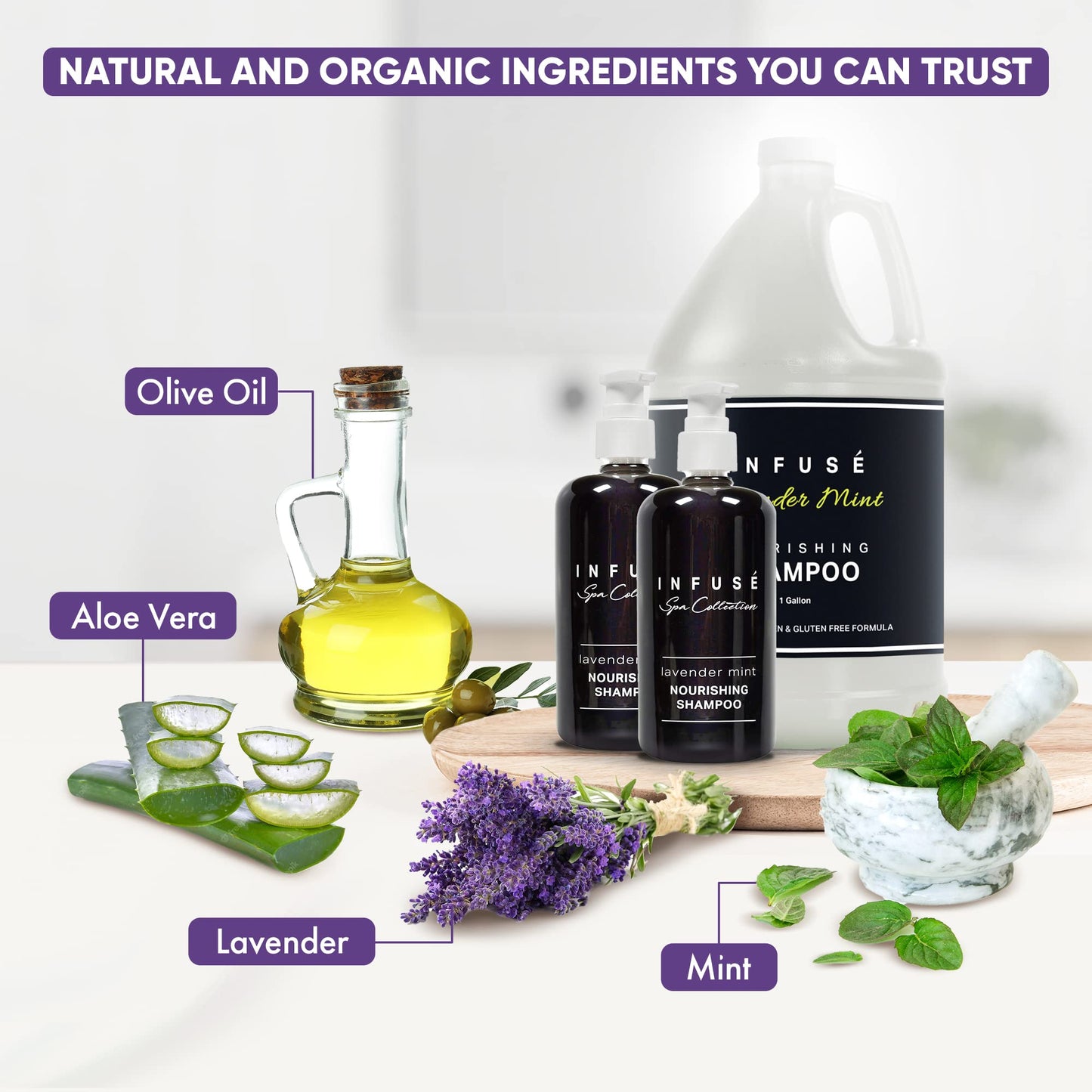 Infuse Lavender Mint Gallon & Dispenser Set | 1-Shoppe Amenities Kit | Shampoo, Conditioner, Body Wash | Refillable 10.14 oz Pump Bottles