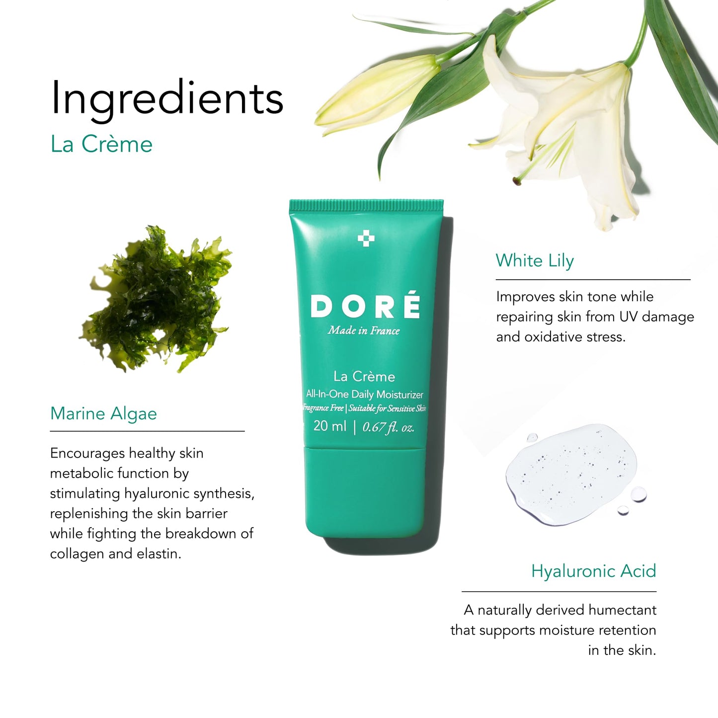 Doré - La Crème All-In-One Daily Moisturizer | Hydrating Face Moisturizer for Sensitive Skin | Barrier Repair Ultra Moisturizing Cream for Dry Skin | Facial Lotion for Women & Men (0.7 fl oz | 20 ml)