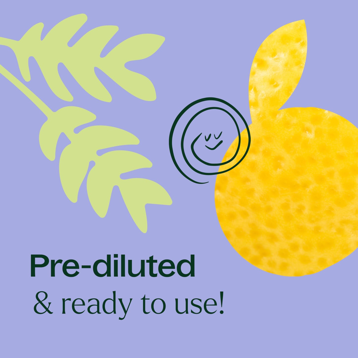 Plant Therapy KidSafe Study Time Essential Oil Blend for Focus, Mind Calming, Concentration Blend for Kids 100% Pure, Pre-Diluted Roll-On, Natural Aromatherapy, Therapeutic Grade 10 mL (1/3 oz)