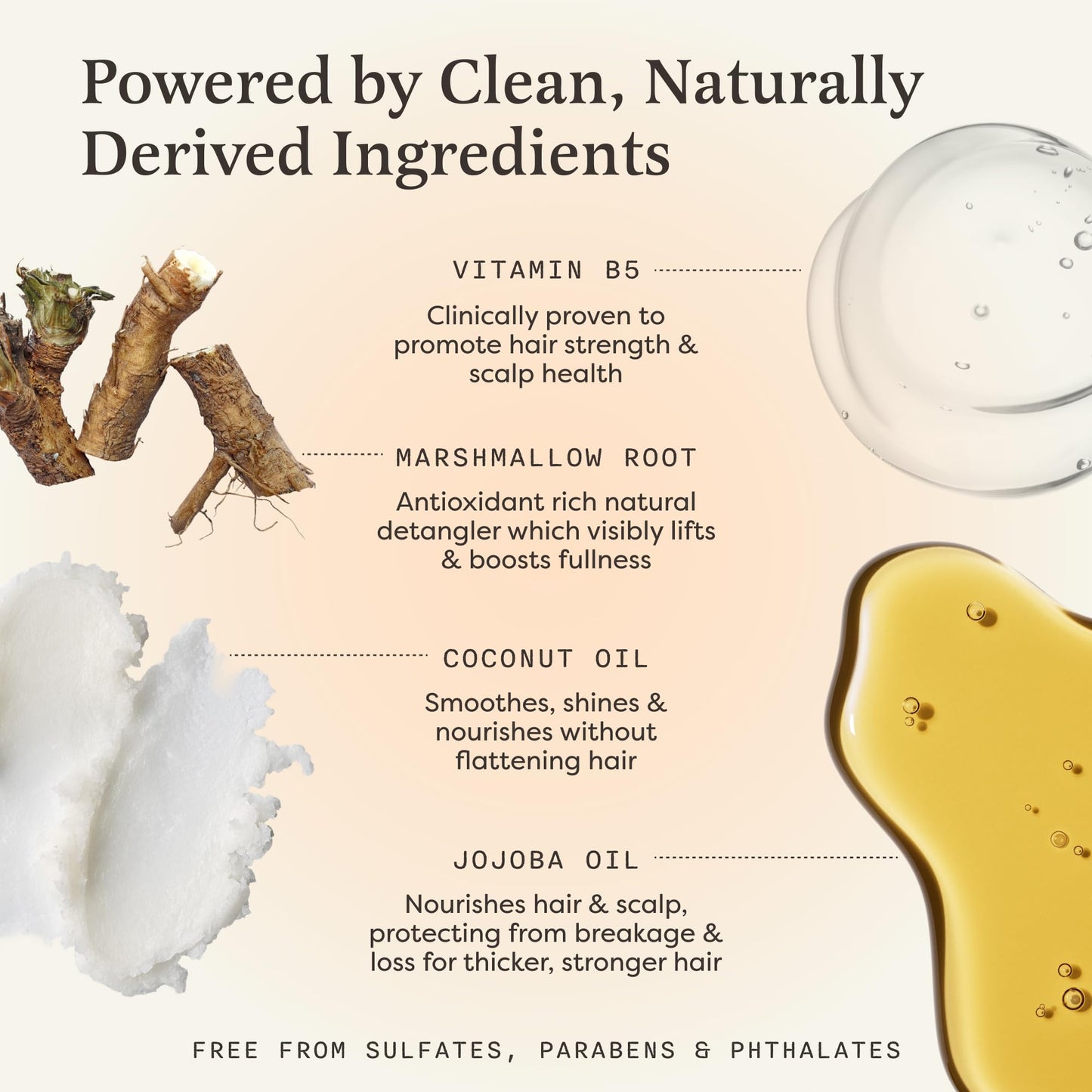 The Earthling Co. Shampoo & Conditioner Bar Set - Promote Hair Growth, Strengthen & Volumize All Hair Types - Paraben & Sulfate Free Formula with Natural Ingredients for Dry Hair (Vanilla Coconut)