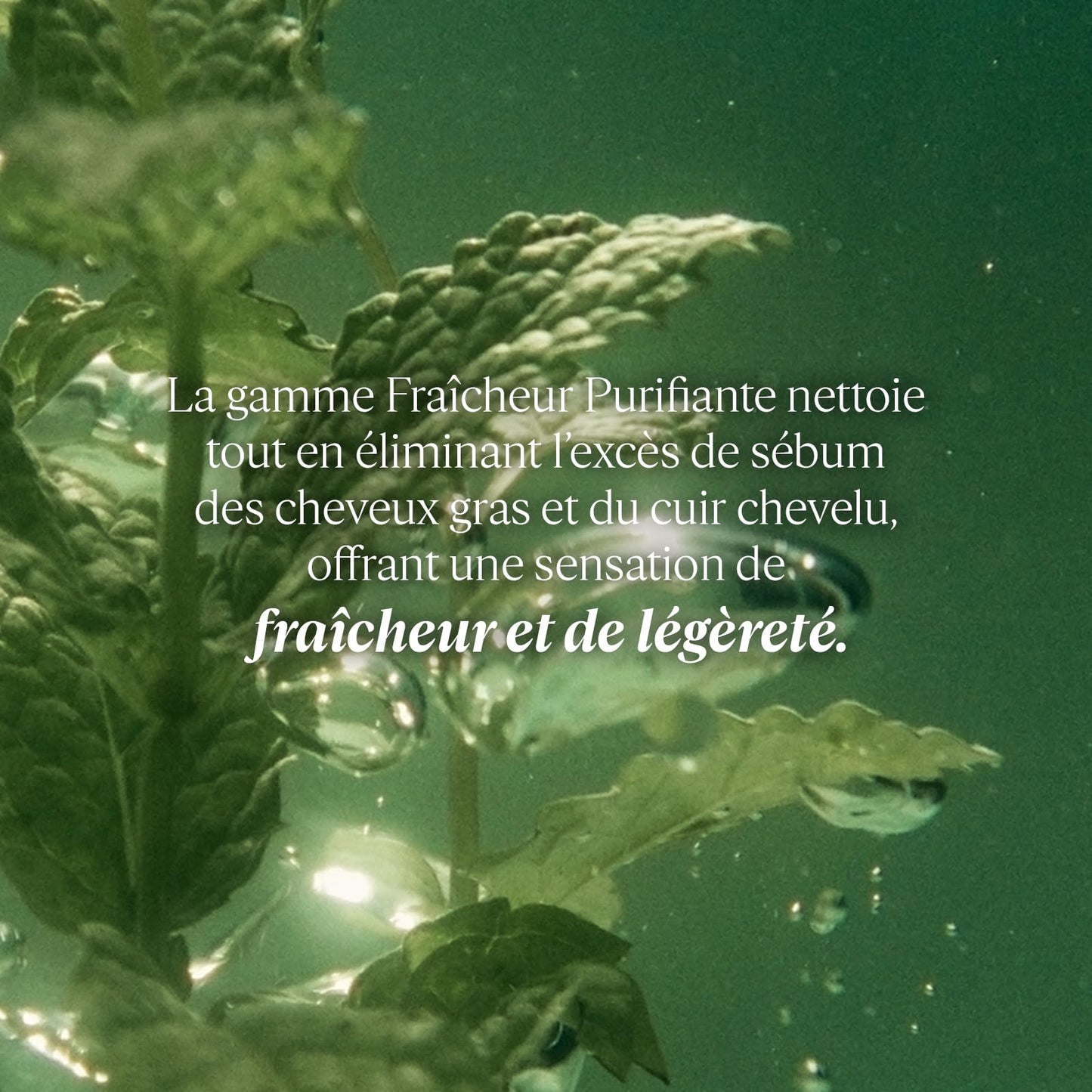 L'OCCITANE Purifying Freshness Solid Shampoo 2.10 oz