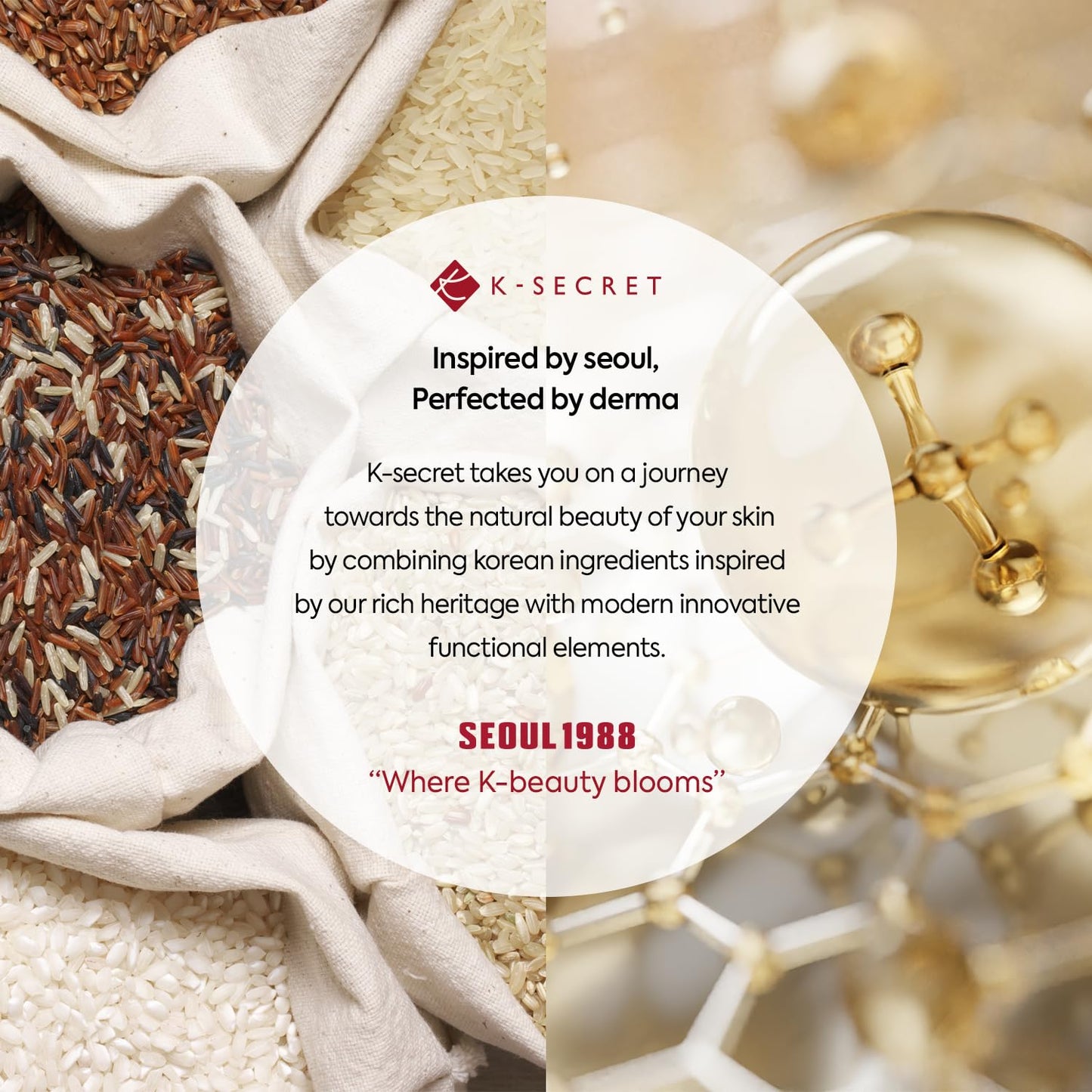 K-SECRET SEOUL 1988 Retinal Serum: Retinol Serum for Face Anti Aging Wrinkle Care - 2% Retinal Liposome Black Ginseng Niacinamide Bakuchiol Vitamin C & 3 Peptides - Korean Skincare Fragrance Free 30mL