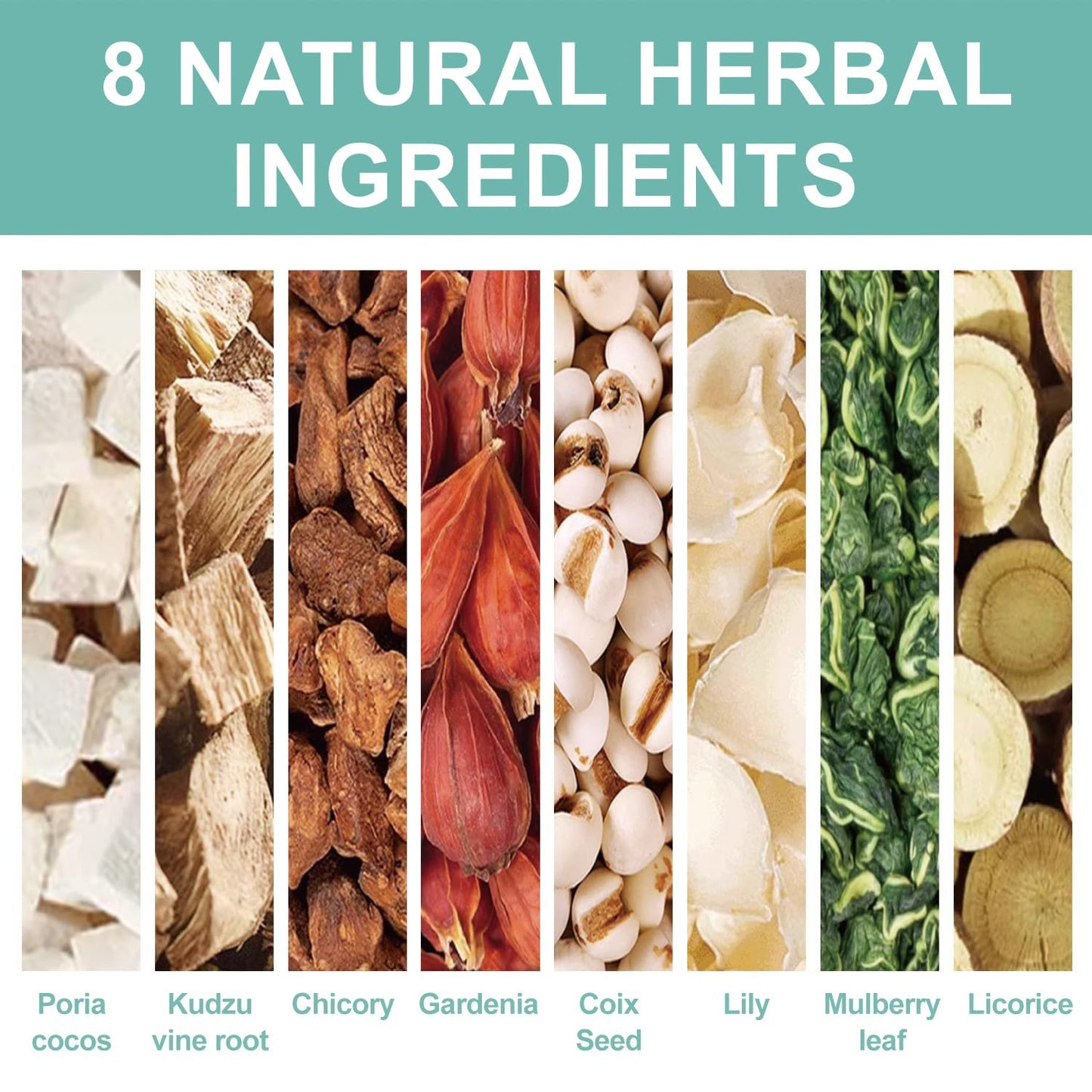 Chicory And Gardenia Tea - Kidneys & Liver Health Tea, 8 Herbal Ingredients Natural Blend, Chicory and Gardenia Tea Bags, Chinese Herbal Tea (250g/10g x25pcs)