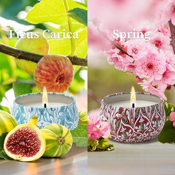 Scented Candles Gift Set 2 Pack 2.5 oz Relaxing Aromatherapy Candles for Home Scented, Stress Relief Candles Gifts for Women, Natural Soy Wax Candles Gift for for Her, Mom, Friends