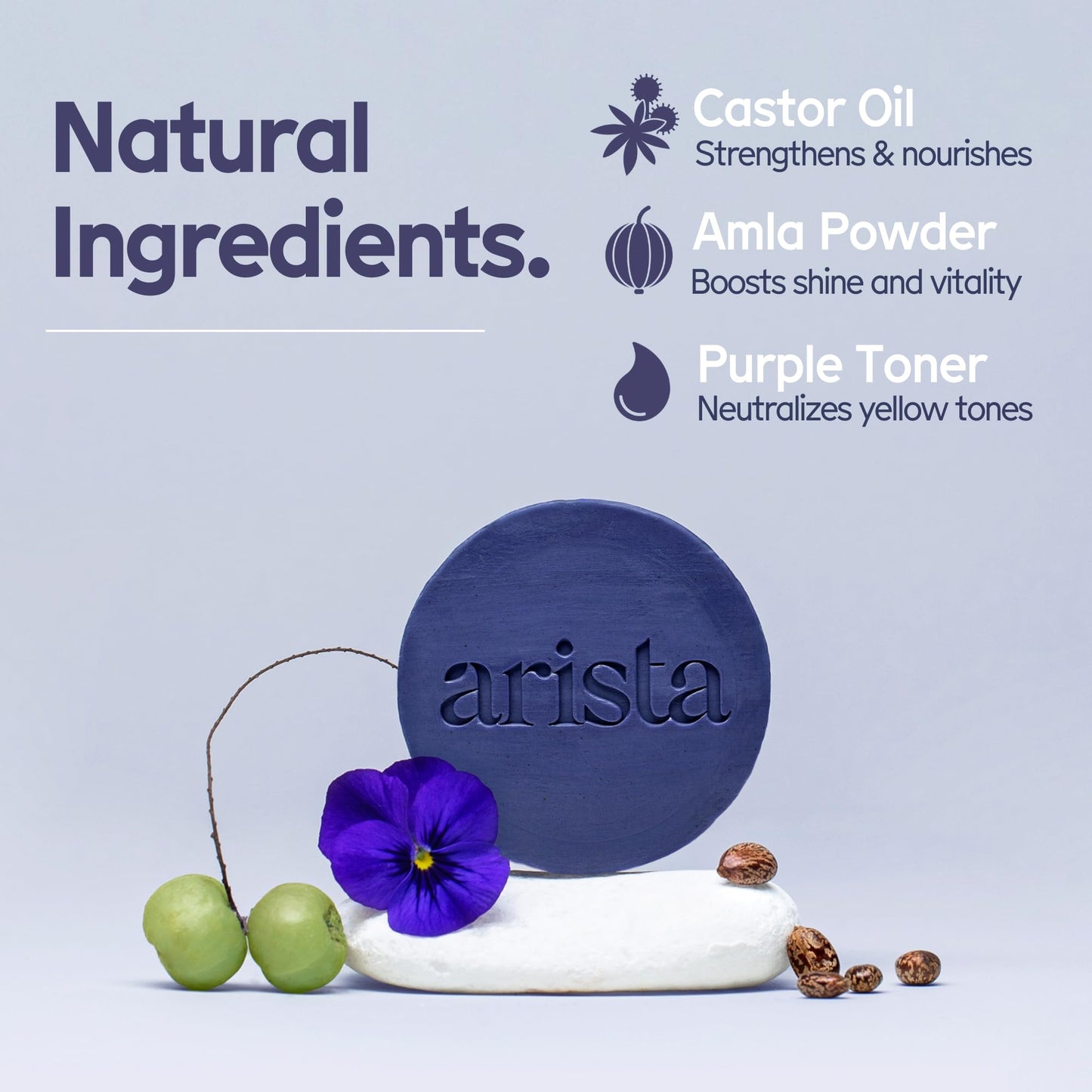 Arista Purple Shampoo Bar, Amla Fruit Powder, Purple Toner & Castor Oil, Moisturizing & Plastic Free Hair Soap, Sulfate Free Solid Shampoo Puck for Grey Hair