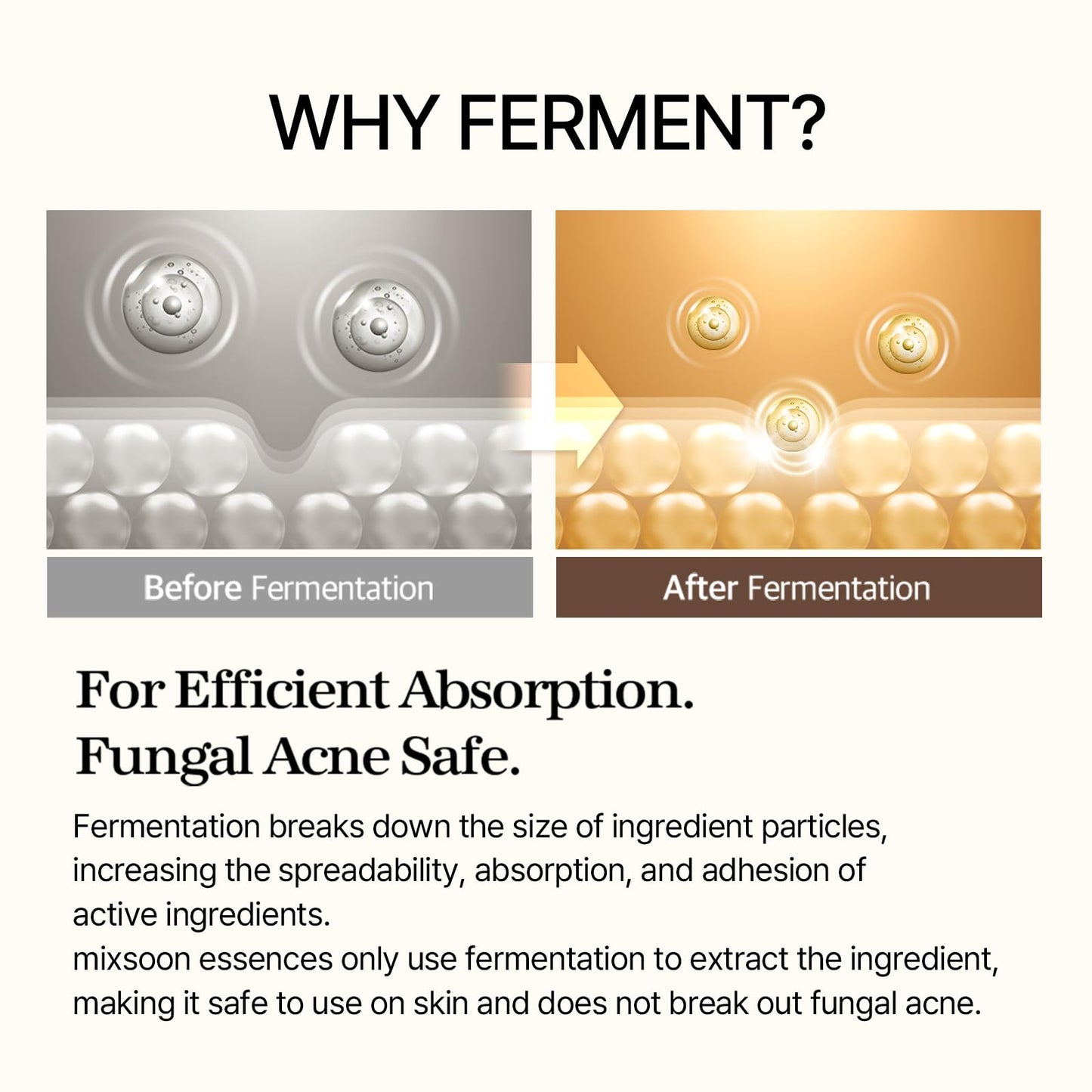 mixsoon Bean Essence 1.01 Fl.Oz. / 30ml (Pack of 1) Exfoliating Hydrating Korean Skin Care Hyaluronic Acid Serum Korean Glass Skin Care