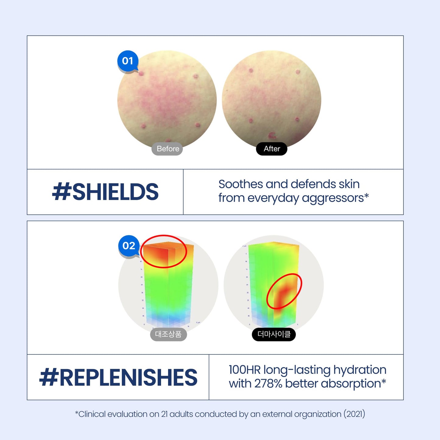 Kineff Dermacycle Program All-day & Night 2-Pack Cream for Face, 31 All-Day Shield Cream & 102 Night Renewal Cream, Centella Asiatica and Niacinamide, Korean Skincare (New Package)