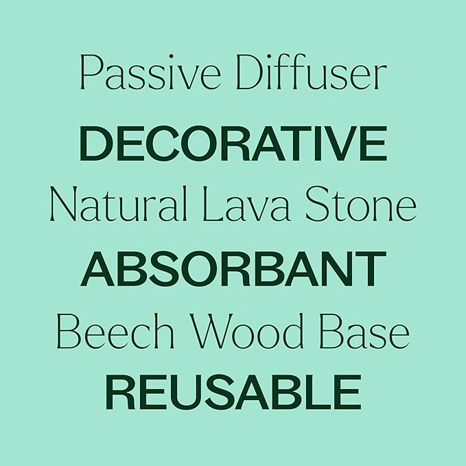 Plant Therapy Lava Rock Passive Diffuser for Essential Oils Great for Decorating at Home, Office or Car, and Gift-Giving