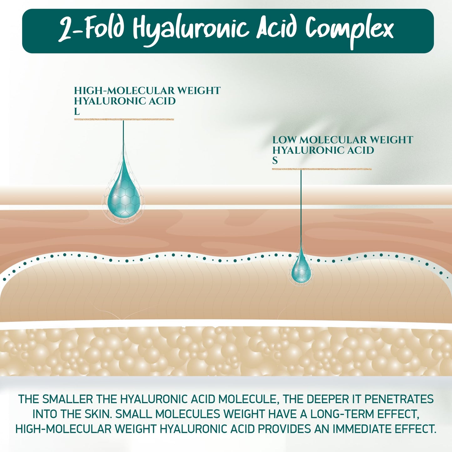 Soena Hyaluronic Acid Cream + Q10 - Quadruple Anti-Wrinkle Complex - Anti-Aging - Day & Night Cream - Highly Dosed Moisturizing Cream - For Face & Decollete