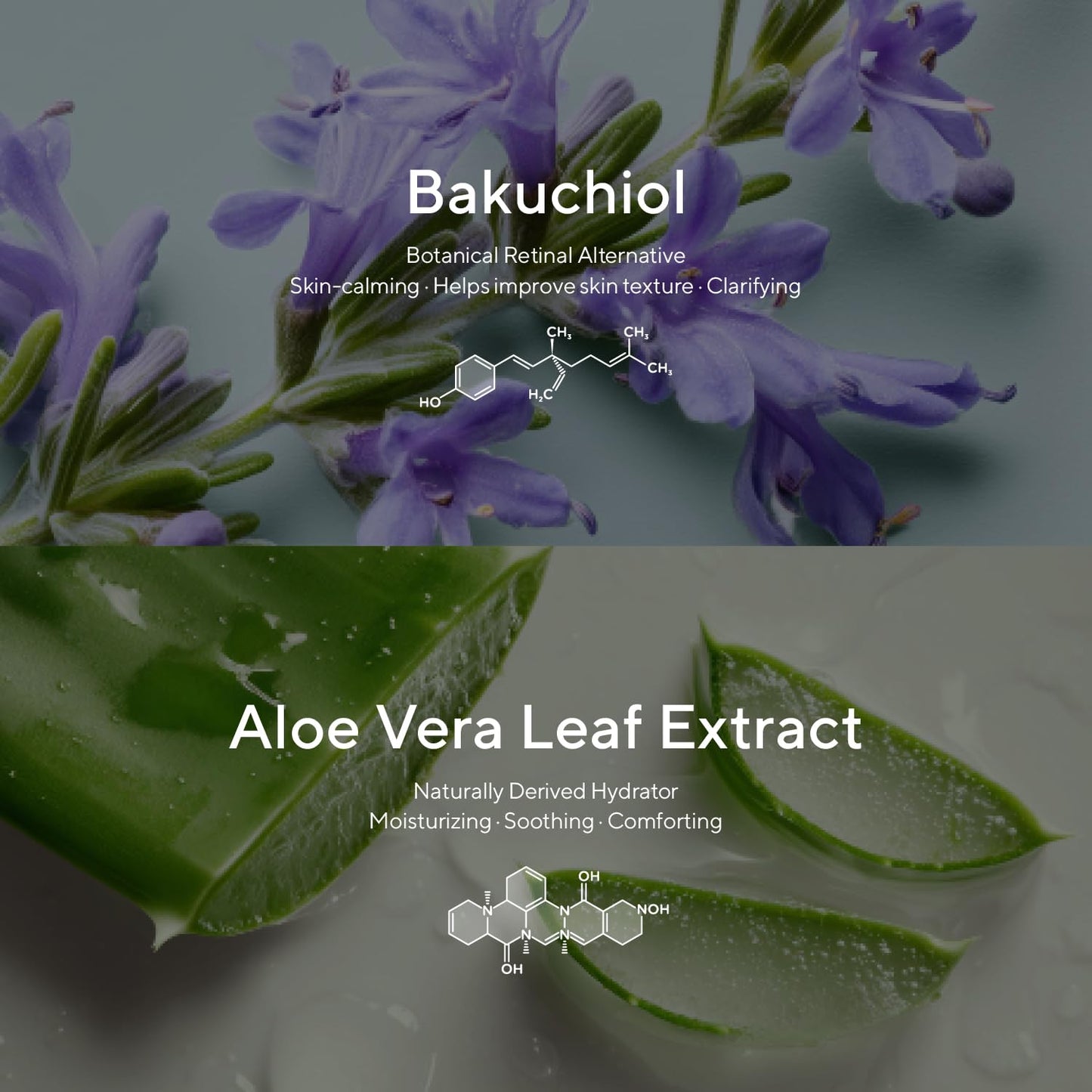 caraseoul Pimple Patches, 2 Size Hydrocolloid Acne Patch for Zits and Blemishes, Bakuchiol & Aloe Vera, Korean Skin Care, Easy to Use – Dermatology Tested