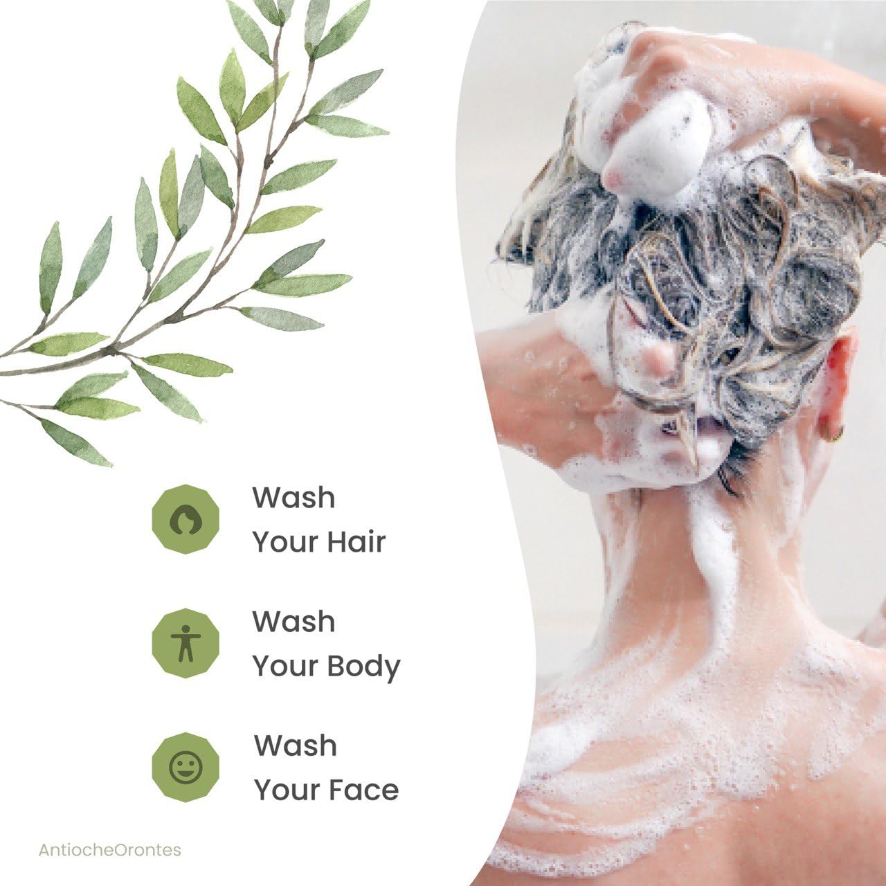 Aleppo Soap 2 Pack (6 oz Each) – 20% Laurel & 80% Olive Oil, Gift-Ready Natural Soap in Premium Box, Handmade Vegan Organic Skincare