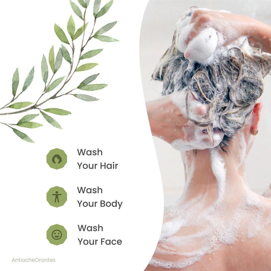 Aleppo Soap 2 Pack (6 oz Each) – 20% Laurel & 80% Olive Oil, Gift-Ready Natural Soap in Premium Box, Handmade Vegan Organic Skincare