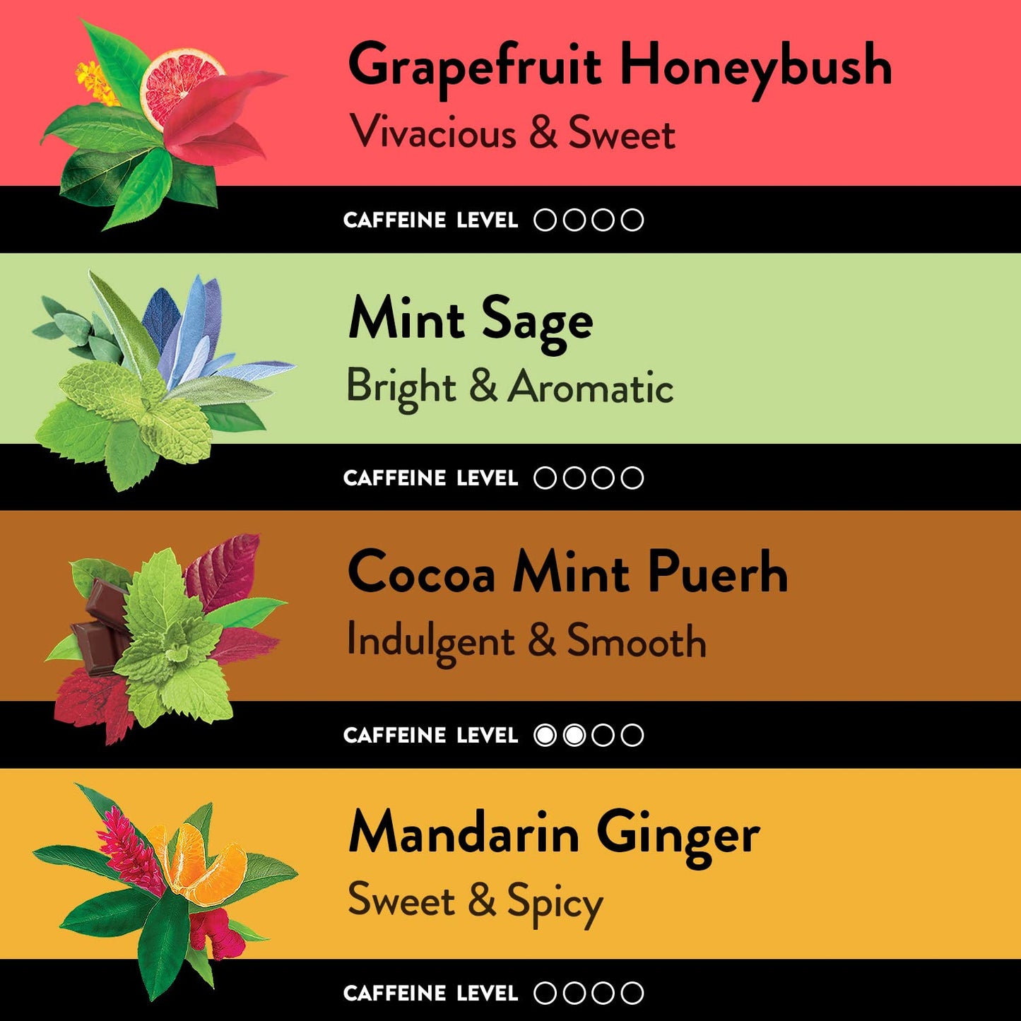 Choice Organic Teas Sipping Box Tea Sampler, Variety Gift Box, 32 Total Tea Bags, 8 Flavors, Caffeinated and Caffeine-Free Teas, Sustainably Sourced Organic and Non-GMO Ingredients