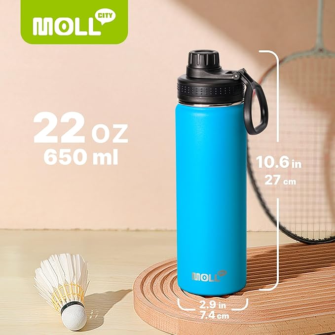 22 oz Water Bottle-Stainless Steel Vacuum Insulated Sports Water Bottle with Leak Proof Spout Lid-Reusable Metal Wide Mouth Water Flask for Travel (Sky Blue)