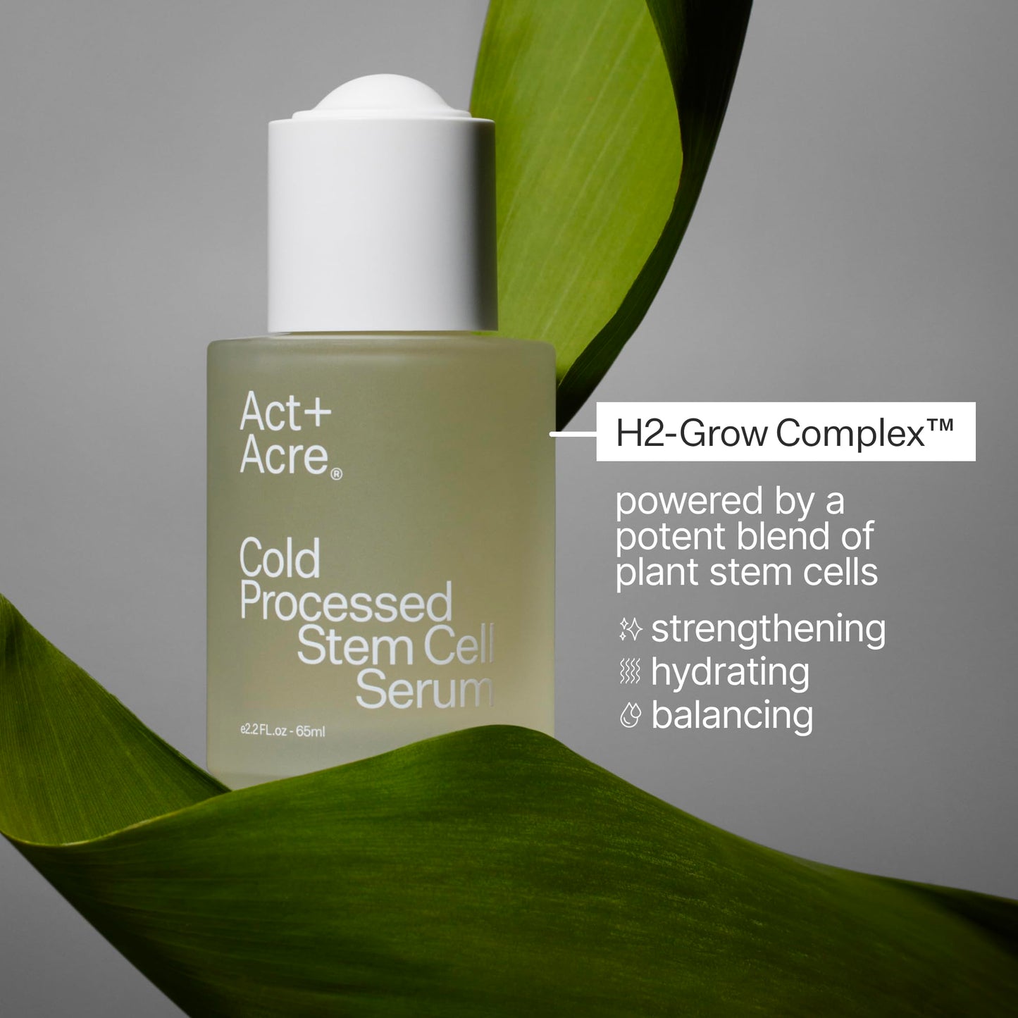 Act+Acre 3-Pack Mini Cold Processed Stem Cell Scalp Serum - Promotes Thicker, Fuller-Looking Hair - Soothes and Hydrates - Sulphate and Paraben Free - Aloe Vera for Improved Scalp Health