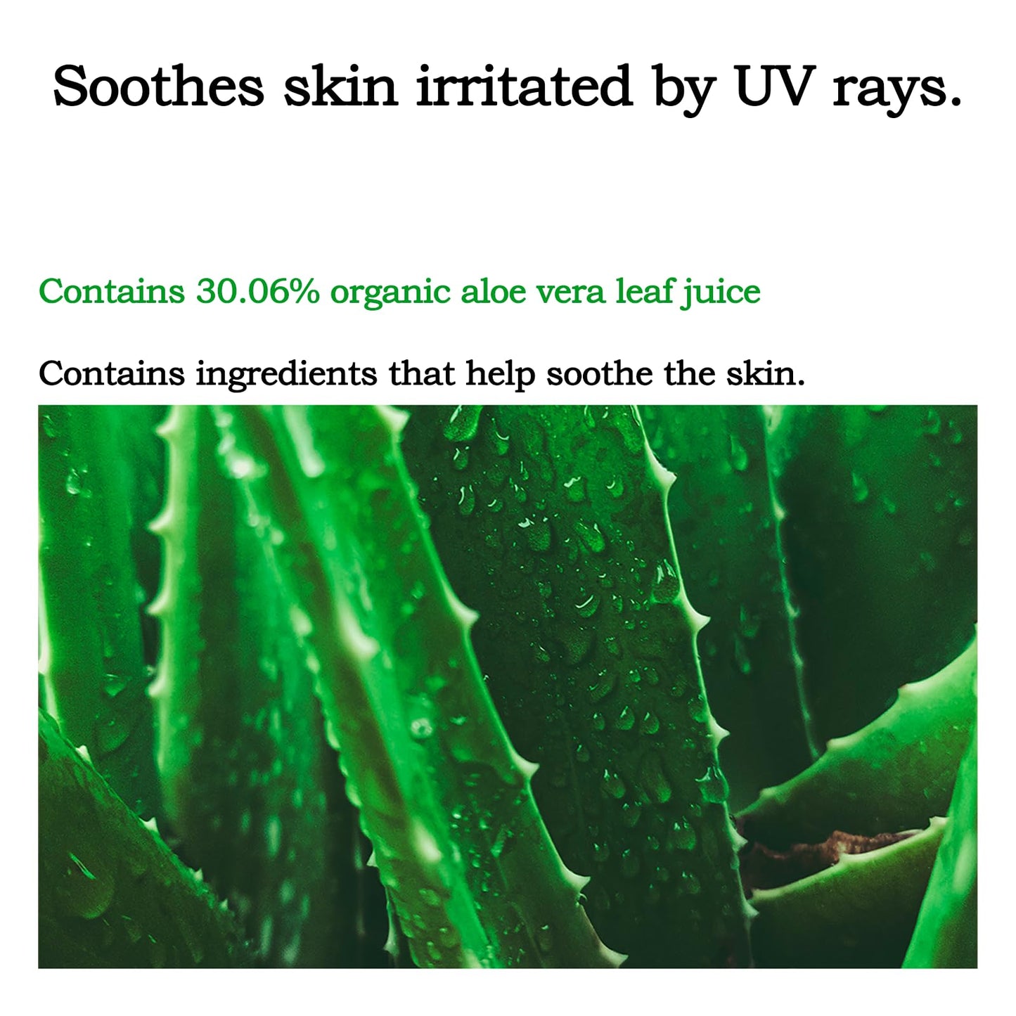 Mild-up sun cream, Korean Skin Care for Dr.O.r.g.a, Premium Sun Protection Cream SPF50+ PA+++,1.01fl.oz.