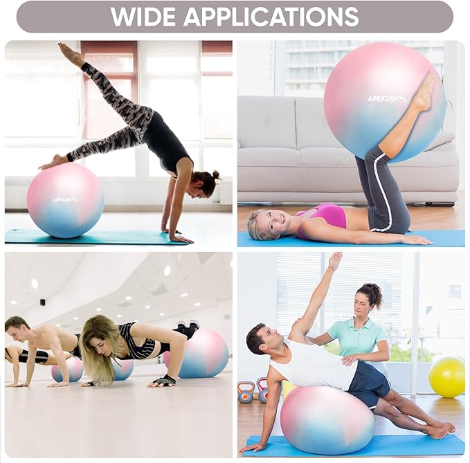 APEXUP Yoga Ball Exercise Ball Anti Slip Heavy Duty for Fitness, Balance & Core Workout