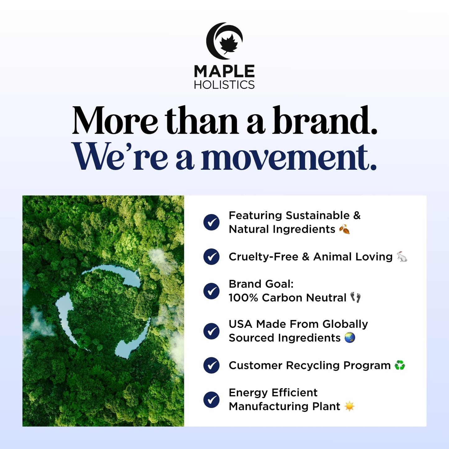 Sleep Essential Oil Roll On - Aromatherapy Essential Oil Roller for Restful Sleep and Relaxation with Pure Lavender & Roman Chamomile - Calming Pre-Diluted Blend for Nighttime Aromatherapy (3-Pack)