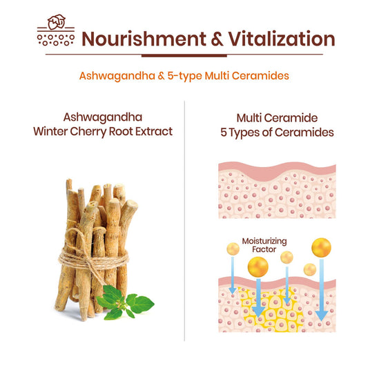 Vaseline Face Facial Mask Sheet Skin Care Essence, HYDRATION RETENTION, SKIN BARRIER REINFORCEMENT [Made in Korea] 10 Count (10 Count, Nourishing)