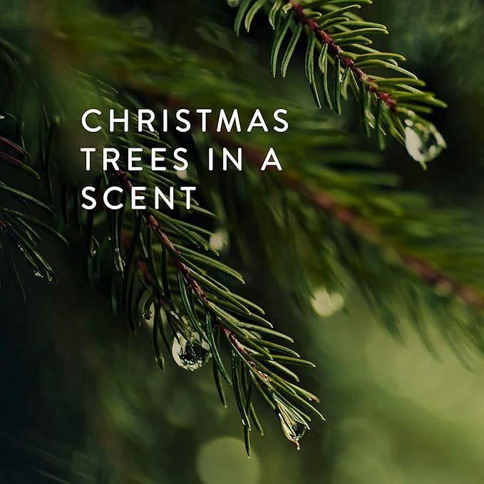 Thymes Travel Tin Holiday Candles - Scented Candles for Home Decor - Winter Scents - Christmas Gifts - Luxury Home Fragrance Gifts for Women & Men - Gold (Frasier Fir, 2.5 oz)