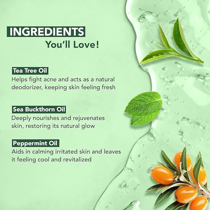 Botanic Hearth Tea Tree Body Wash | 16 Fl Oz | Helps Soothe Itchy, Dry Skin, Antifugal Body Wash With 100% Pure Tea Tree Oil | Sulfate Free, Paraben Free, For Men And Women Set Of 2