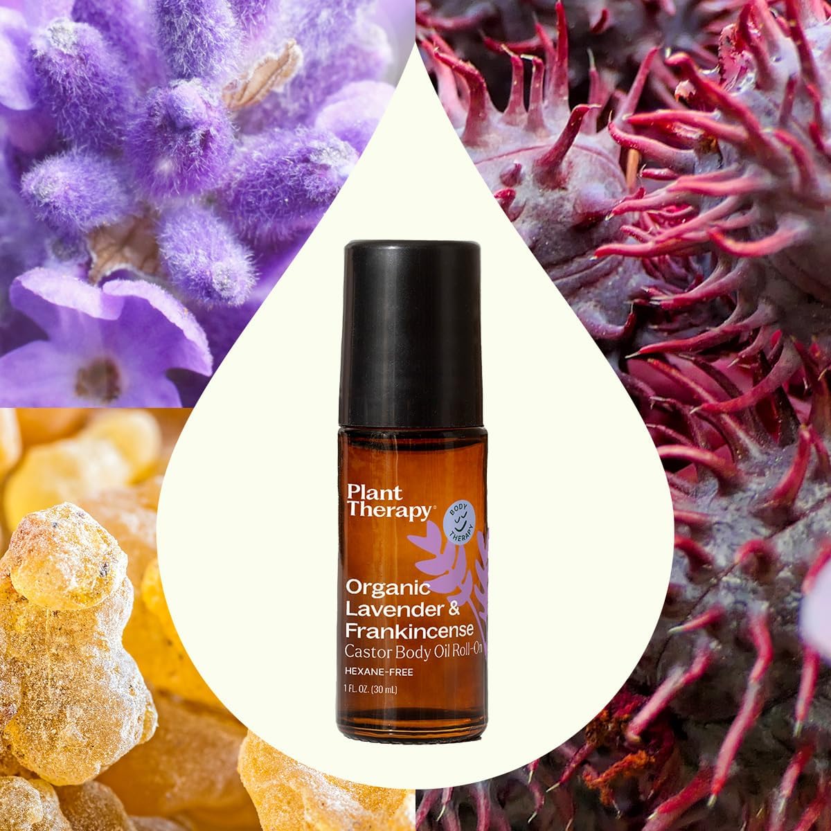 Plant Therapy Organic Lavender & Frankincense Castor Body Oil Roll-On 30 mL (1 oz) Soothes Dryness, and Skin Irritation, Calming Aroma, Relaxation, Pure, Organic Formula, Healing Benefits