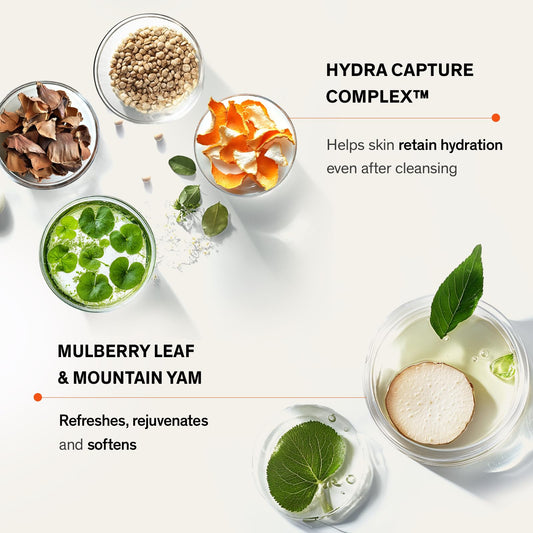 Sulwhasoo Gentle Cleansing Foam, Travel Size - Korean Face Wash for All Skin Types, Moisturizes & Rejuvenates, Removes Dirt & Impurities, Softens Skin, Hydrating Cleanser - 1.69 fl. oz.