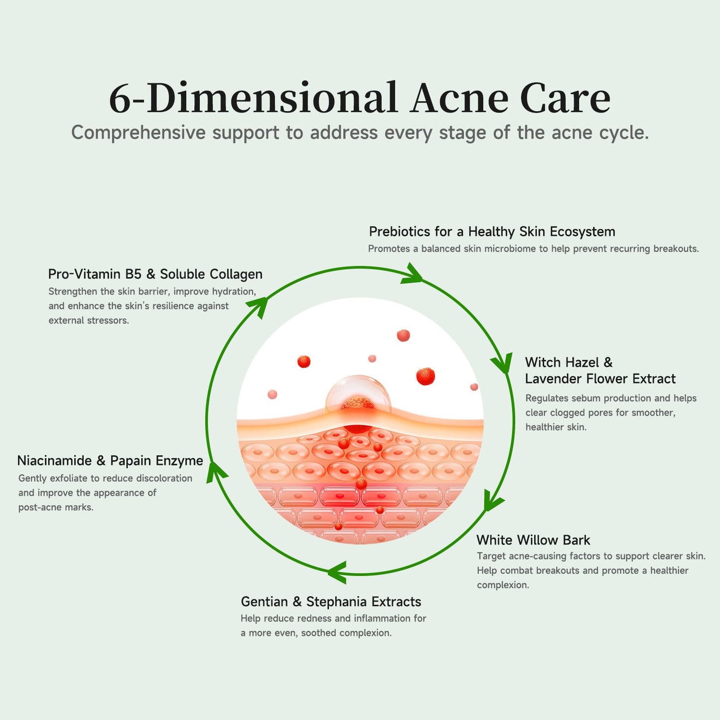 Gentle Botanical Acne Treatment for Face – Acid-Free Spot Facial Serum with Niacinamide & Witch Hazel, Soothes Redness & Controls Breakouts for Sensitive, Oily & Acne-Prone Skin – 1.2 ml × 30 Ampoules