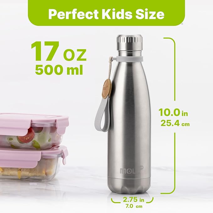 17 oz Stainless Steel Water Bottle-Insulated Water Bottle-Sports Water Bottle for School Double Walled Vacuum Cola Shape-Leak Proof Sport Water Bottle(SS)