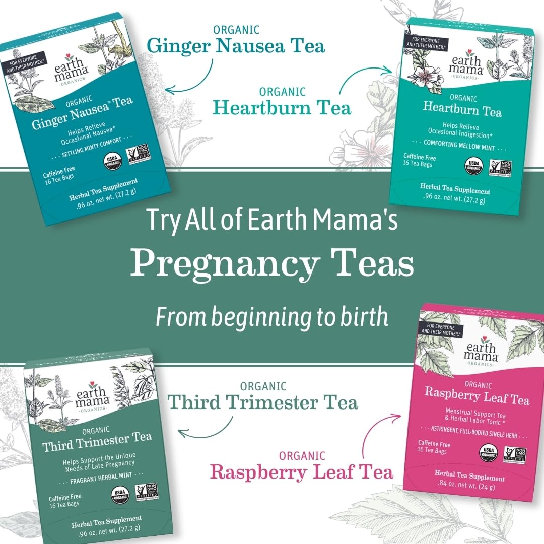 Earth Mama Organic Peaceful™ Tea | Stress Less! Calming, Relaxing Herbal Blend Safe for Pregnancy & Beyond, 16 Teabags Per Box