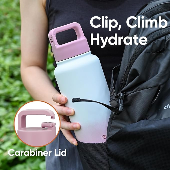 32 oz Insulated Water Bottle, 2-in-1 Lid, Straw & Spout with Protected, Leak Proof, Keep Cold, Stainless Steel, Metal, Reusable, Handle, for Outdoor, Gym and School, 2 Lids, Iced Plum